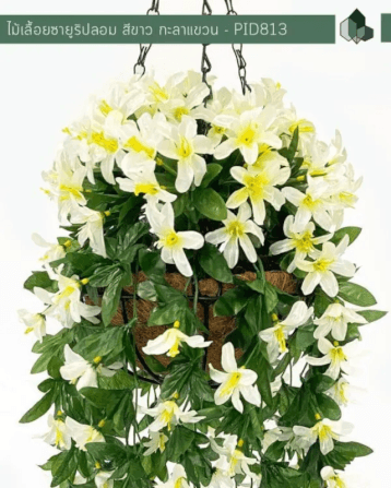 ไม้เลื้อยซายูริปลอม PIMARN รุ่น PID813 ยาว 70 ซม.สีขาว,แบบแขวนกระถางใยมะพร้าว_2