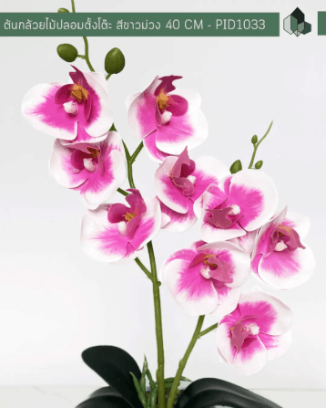 ดอกกล้วยไม้ปลอม PIMARN รุ่น PID1033 สูง 40 ซม. สีขาวม่วง พร้อมกระถาง_2
