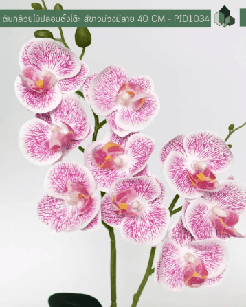 ดอกกล้วยไม้ปลอม PIMARN รุ่น PID1034 สูง 40 ซม.- สีขาวม่วง พร้อมกระถาง_2