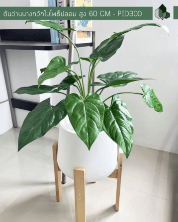 ต้นว่านนางกวักใบโพธิ์ปลอม PIMARN รุ่น PID300 สูง 60 CM - 14 ใบ_3