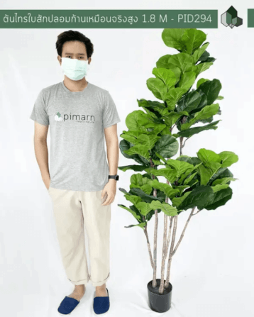 ต้นไทรใบสักปลอม PIMARN รุ่น PID294 สูง 1.8 เมตร ก้านเสมือนจริง_3