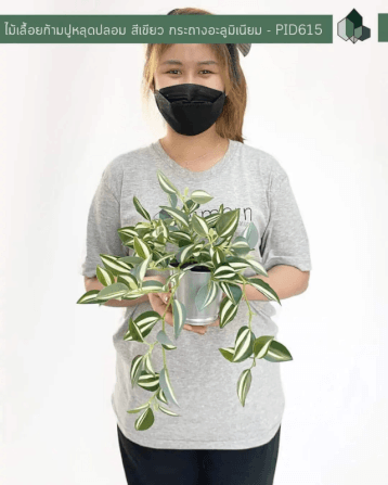 ไม้เลื้อยก้ามปูหลุมปลอม PIMARN รุ่น PID615 ต้นไม้ปลอมตั้งโต๊ะ,กระถางอะลูมิเนียม_3