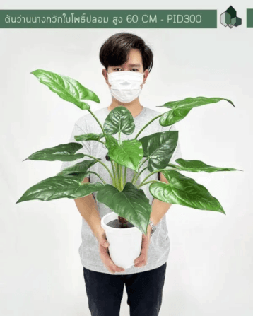 ต้นว่านนางกวักใบโพธิ์ปลอม PIMARN รุ่น PID300 สูง 60 CM - 14 ใบ_4