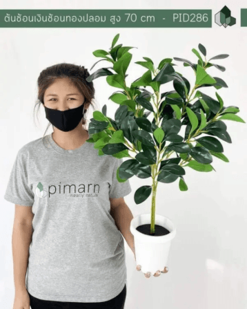 ต้นช้อนเงินช้อนทองปลอม PIMARN รุ่น PID286 สูง 70 CM_4