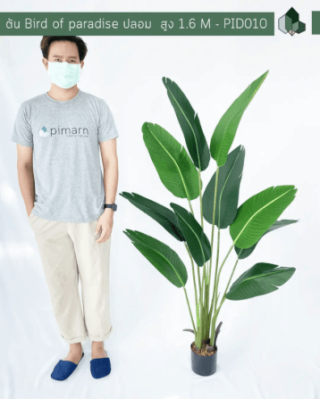 ต้นเบิร์ดปลอม PIMARN รุ่น PID010 สูง 1.6 เมตร_4