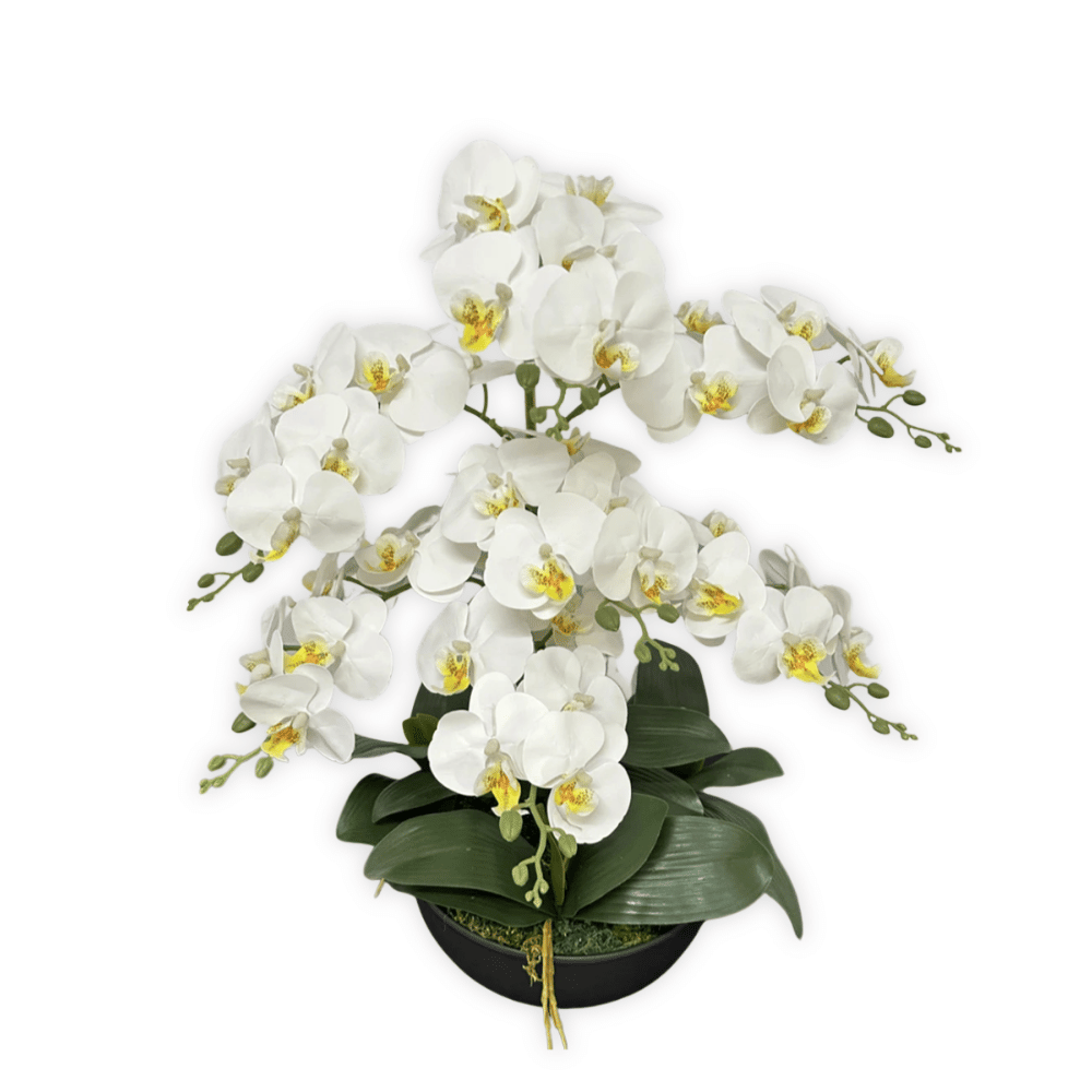 ดอกกล้วยปลอม ช่อใหญ่ PIMARN รุ่น PID862 ,สีขาว,พร้อมกระถางเซรามิก_0