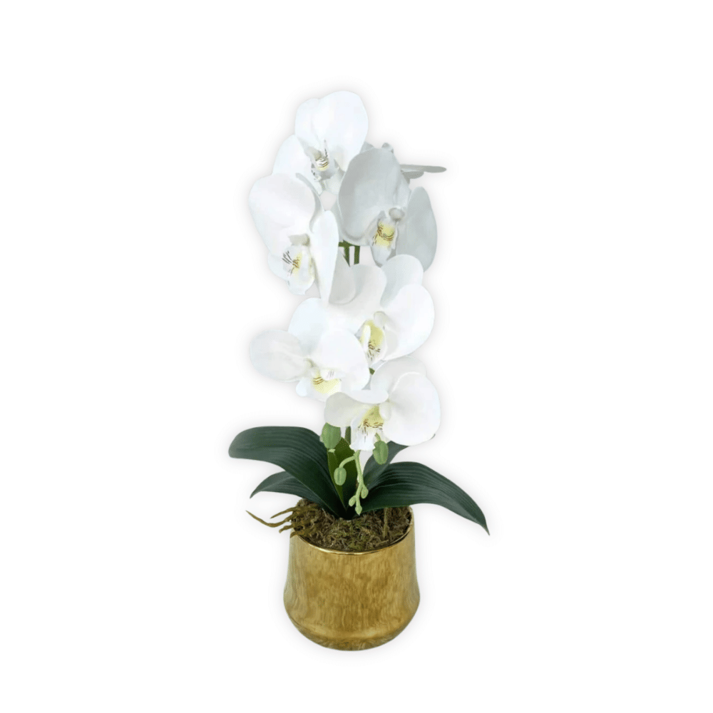 ดอกกล้วยปลอม PIMARN รุ่น PID713 ,สีขาว,พร้อมกระถางสีทอง_0