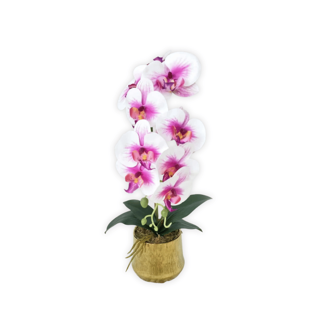 ดอกกล้วยปลอม PIMARN รุ่น PID711 ,สีขาวม่วง,พร้อมกระถางสีทอง_0