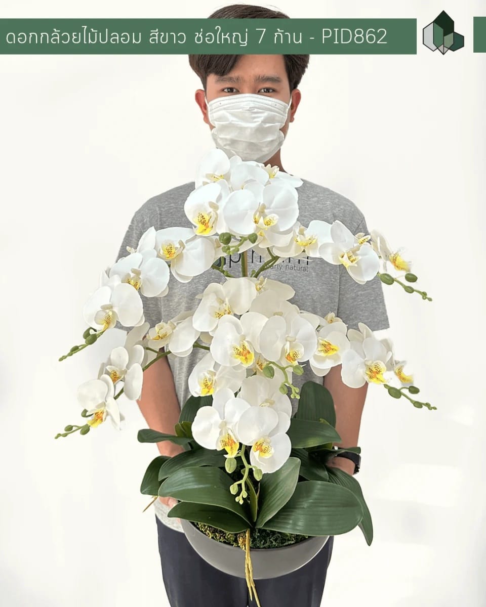 ดอกกล้วยปลอม ช่อใหญ่ PIMARN รุ่น PID862 ,สีขาว,พร้อมกระถางเซรามิก_1