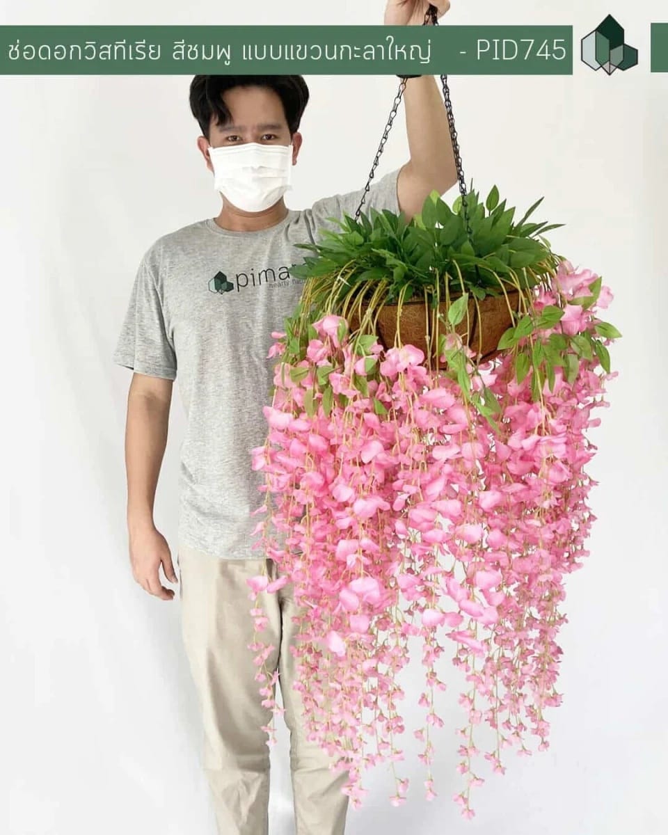 ไม้เลื้อยวิสทีเรียปลอม PIMARN รุ่น PID745 ,สีชมพู,พร้อมกระถางใยมะพร้าว_1