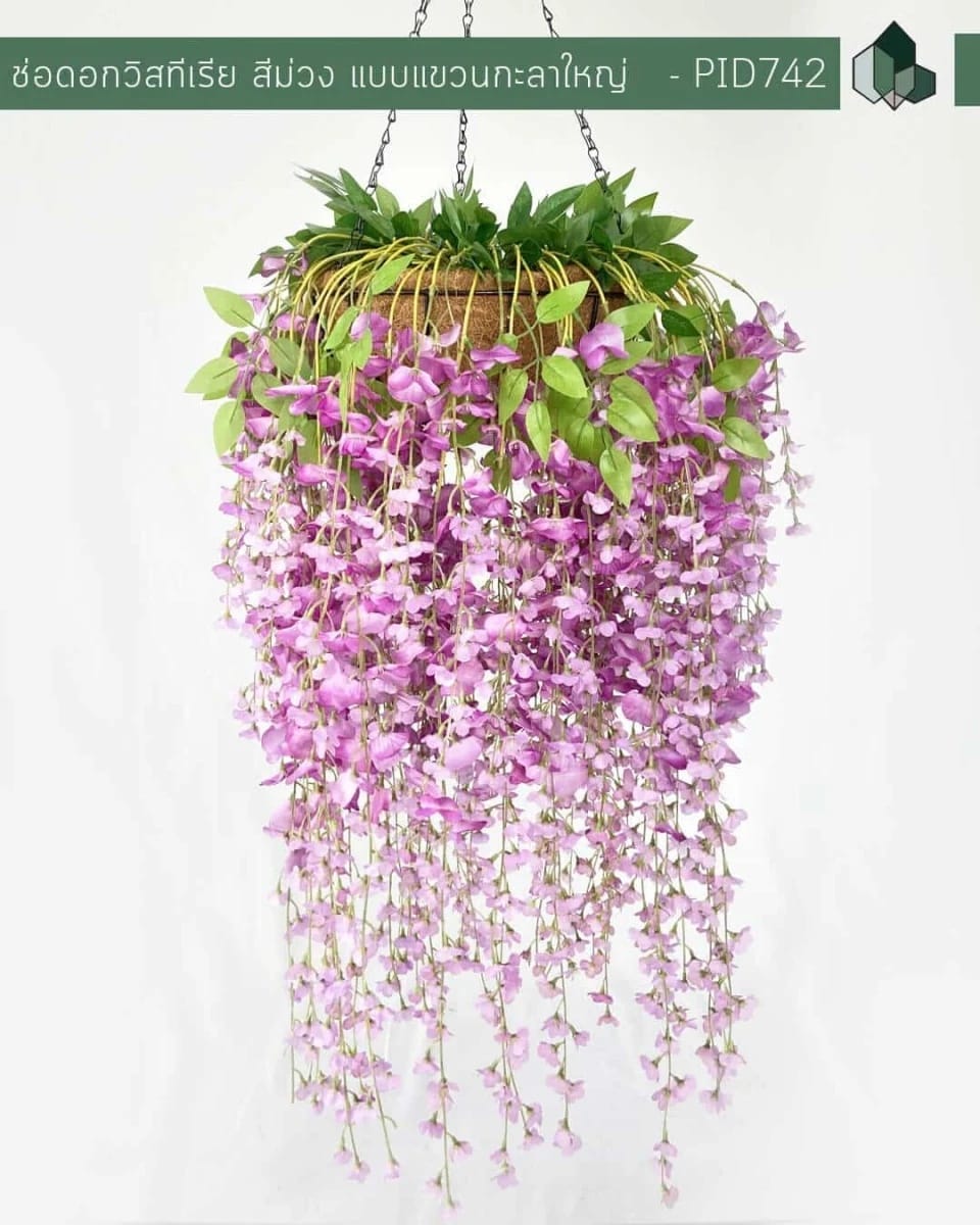 ไม้เลื้อยวิสทีเรียปลอม PIMARN รุ่น PID742 ,สีม่วง,พร้อมกระถางใยมะพร้าว_1