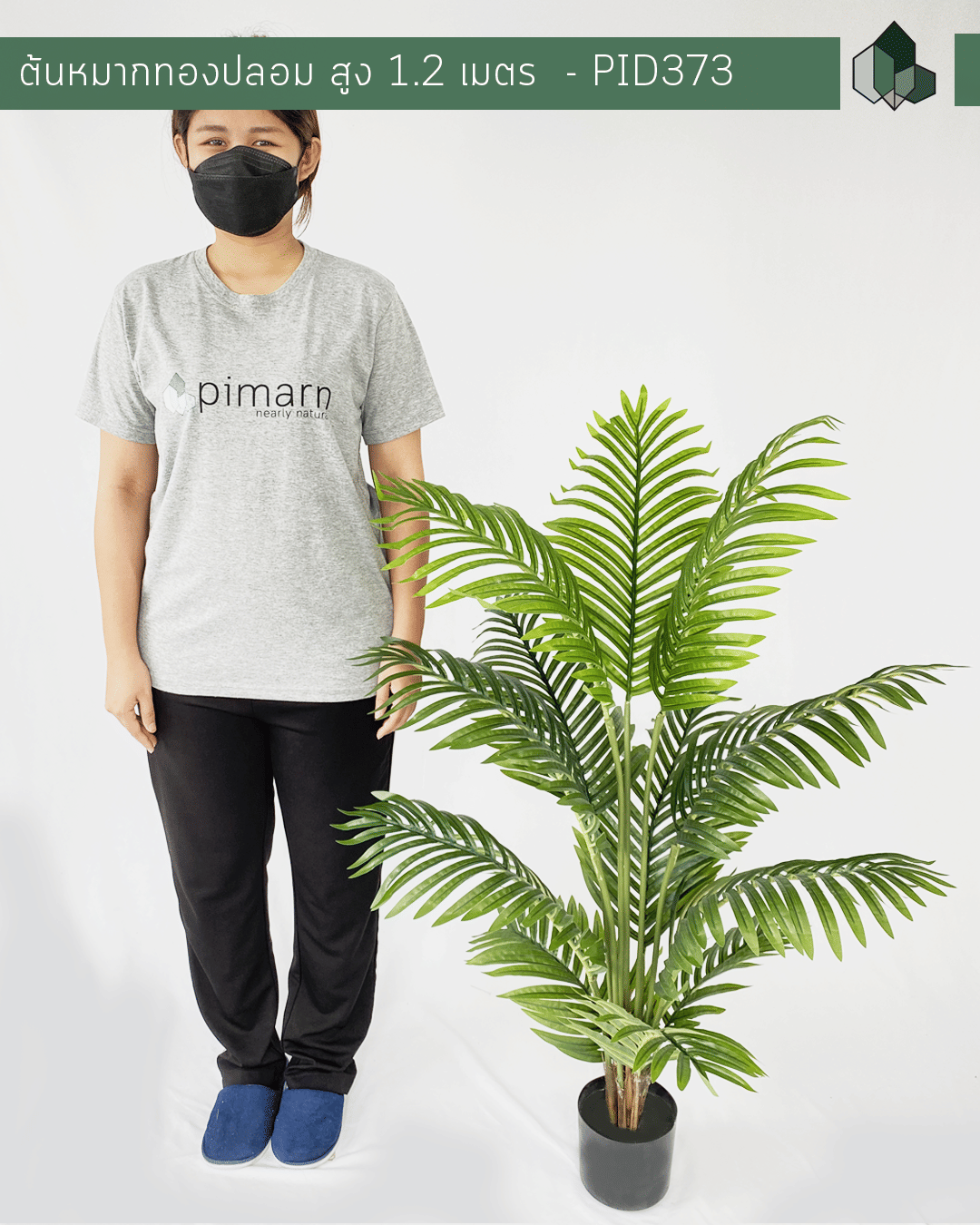 ต้นหมากทองประดิษฐ์ PIMARN PID373 120 ซม. สีเขียว พร้อมกระถางสีดำ_1