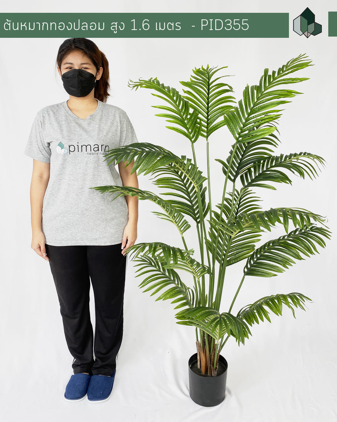 ต้นหมากทองประดิษฐ์ PIMARN PID355 160 ซม. สีเขียว พร้อมกระถางสีดำ_1