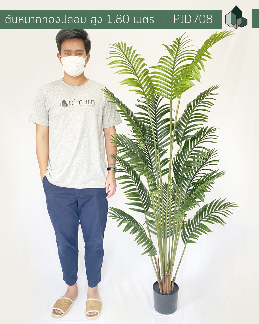 ต้นหมากทองประดิษฐ์ PIMARN PID708 180 ซม. สีเขียว พร้อมกระถางสีดำ_1