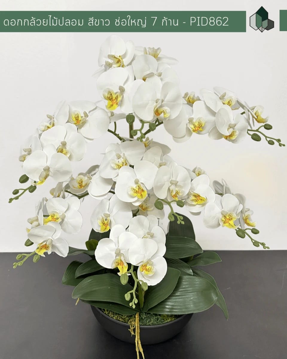 ดอกกล้วยปลอม ช่อใหญ่ PIMARN รุ่น PID862 ,สีขาว,พร้อมกระถางเซรามิก_2