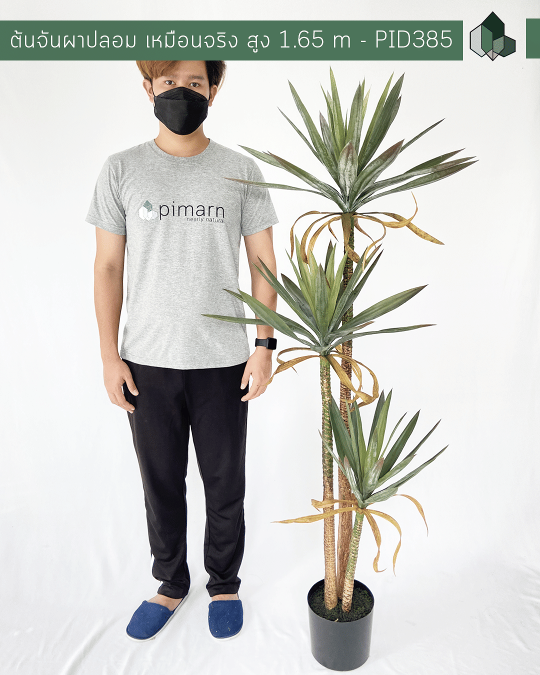 ต้นจันผาประดิษฐ์ PIMARN PID385 165 ซม. สีเขียว พร้อมกระถางสีดำ_2