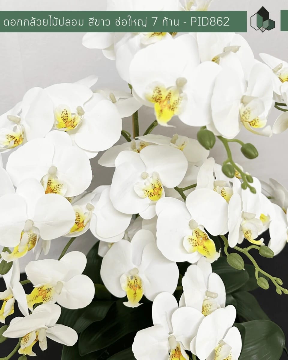 ดอกกล้วยปลอม ช่อใหญ่ PIMARN รุ่น PID862 ,สีขาว,พร้อมกระถางเซรามิก_3
