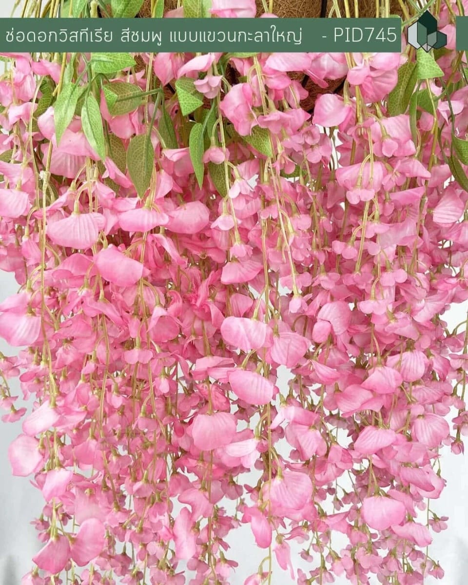 ไม้เลื้อยวิสทีเรียปลอม PIMARN รุ่น PID745 ,สีชมพู,พร้อมกระถางใยมะพร้าว_3