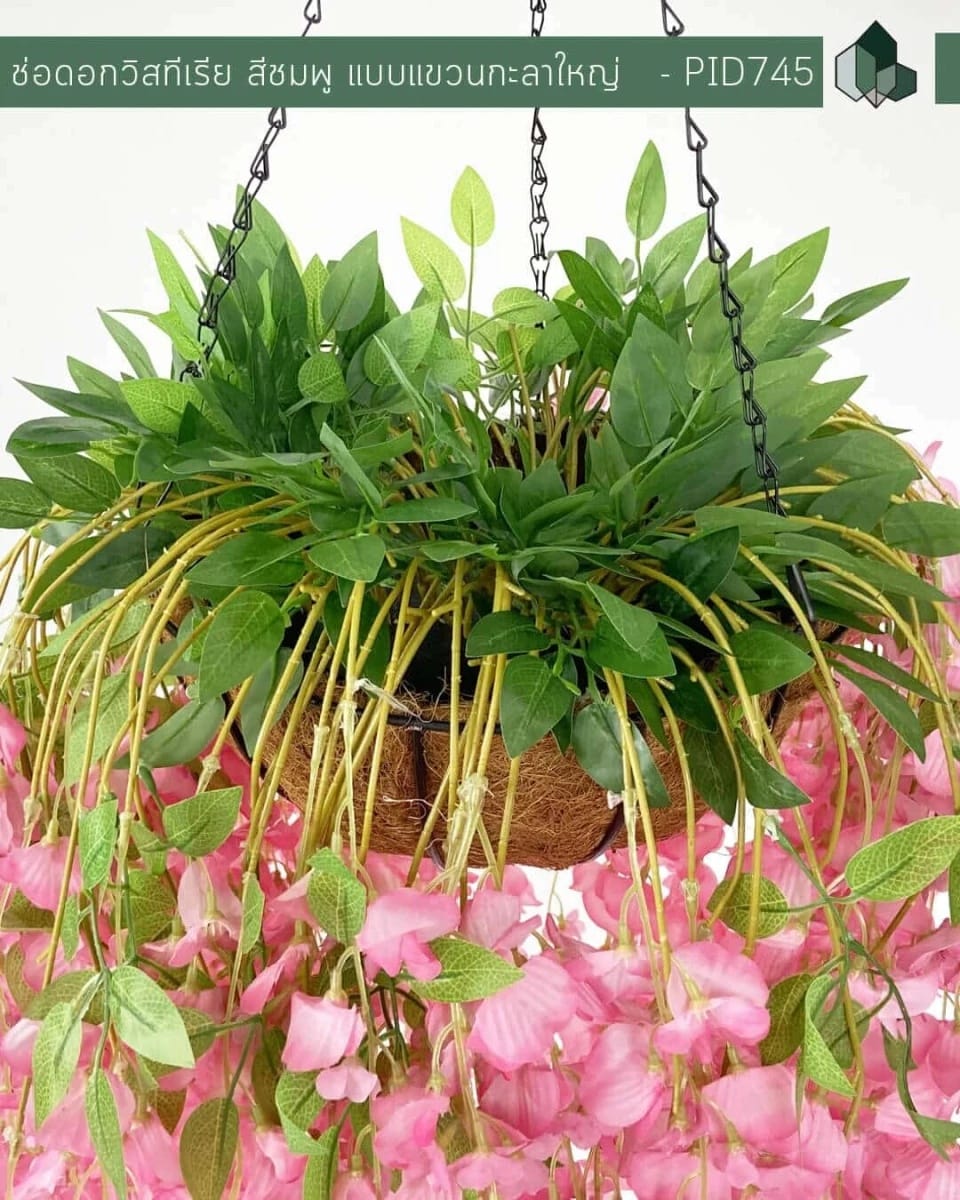 ไม้เลื้อยวิสทีเรียปลอม PIMARN รุ่น PID745 ,สีชมพู,พร้อมกระถางใยมะพร้าว_4