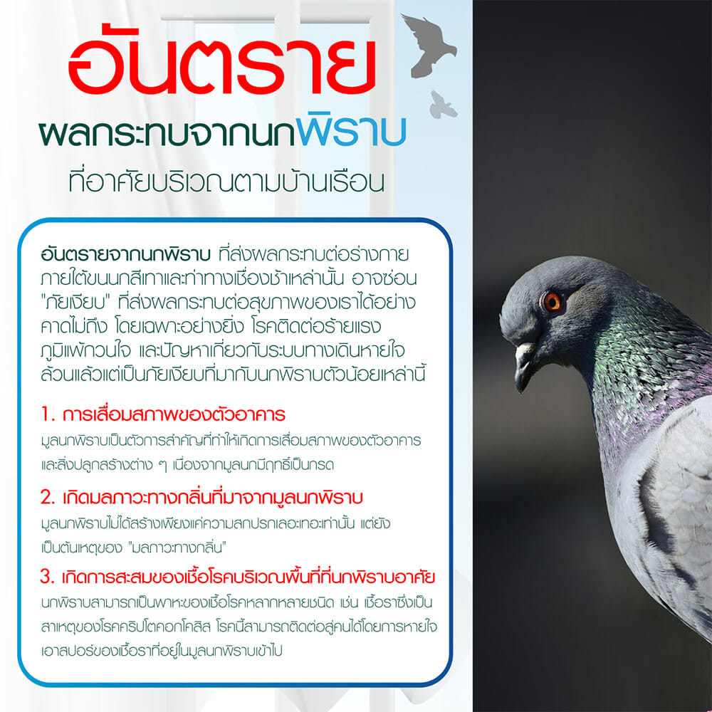 สเปรย์สมุนไพรไล่นก SMARTNOW 250 มล._4