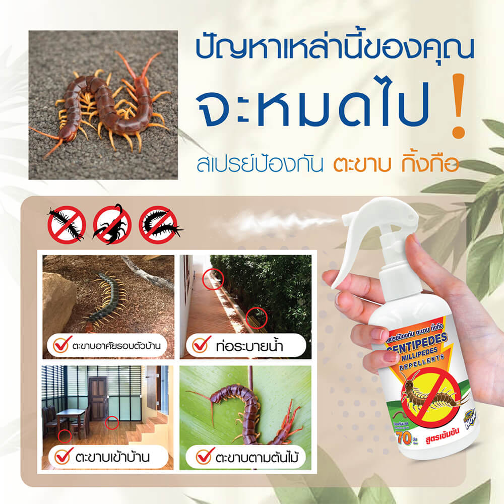 สเปรย์สมุนไพรไล่ตะขาบ แมงป่อง กิ้งกือ SMARTNOW 250 มล._1