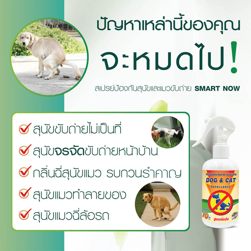 สเปรย์สมุนไพรป้องกันสุนัขและแมวขับถ่าย SMARTNOW 250 มล._1