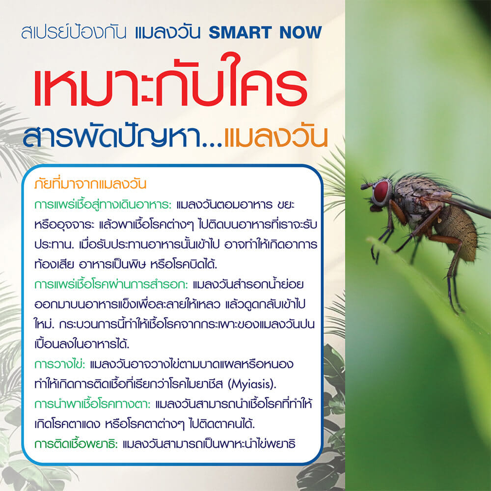 สเปรย์สมุนไพรไล่แมลงวัน SMARTNOW 250 มล._4