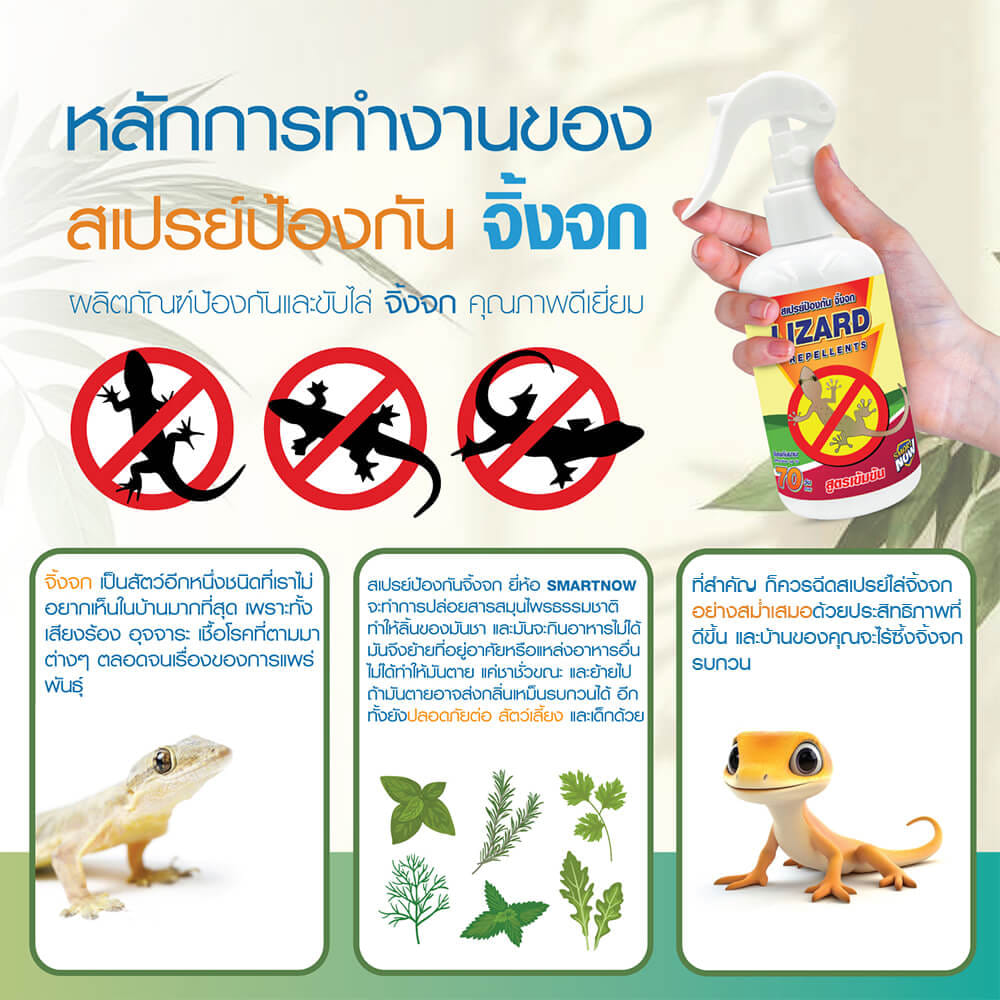 สเปรย์สมุนไพรไล่จิ้งจก SMARTNOW 250 มล._2