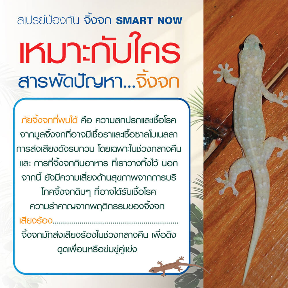 สเปรย์สมุนไพรไล่จิ้งจก SMARTNOW 250 มล._4
