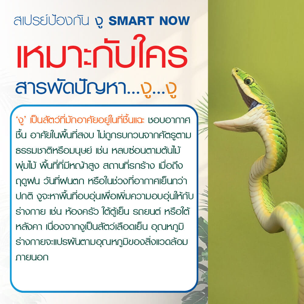 สเปรย์สมุนไพรไล่งู SMARTNOW 250 มล._4