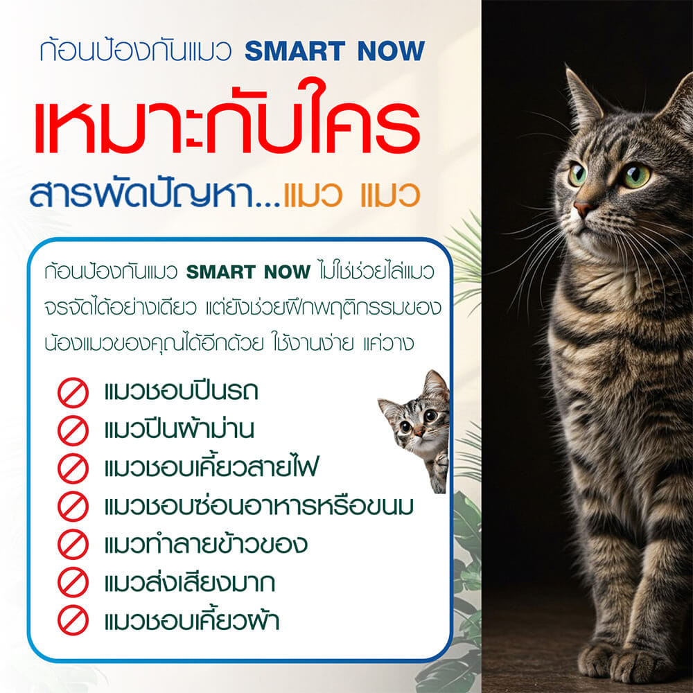 ก้อนป้องกันแมว SMARTNOW บรรจุ 30 ก้อน/กระปุก