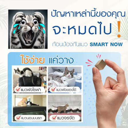 ก้อนป้องกันแมว SMARTNOW บรรจุ 30 ก้อน/กระปุก_1