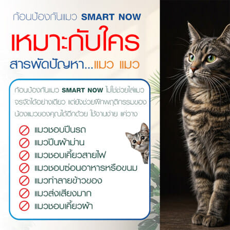 ก้อนป้องกันแมว SMARTNOW บรรจุ 30 ก้อน/กระปุก_4