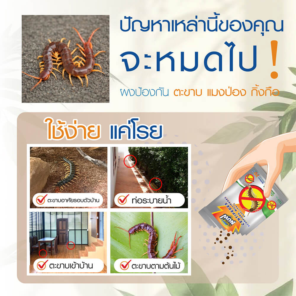 ผงสมุนไพรไล่ตะขาบ แมงป่อง กิ้งกือ SMARTNOW 100 กรัม_1
