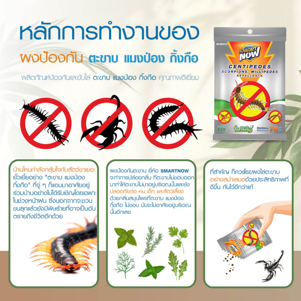 ผงสมุนไพรไล่ตะขาบ แมงป่อง กิ้งกือ SMARTNOW 100 กรัม_3