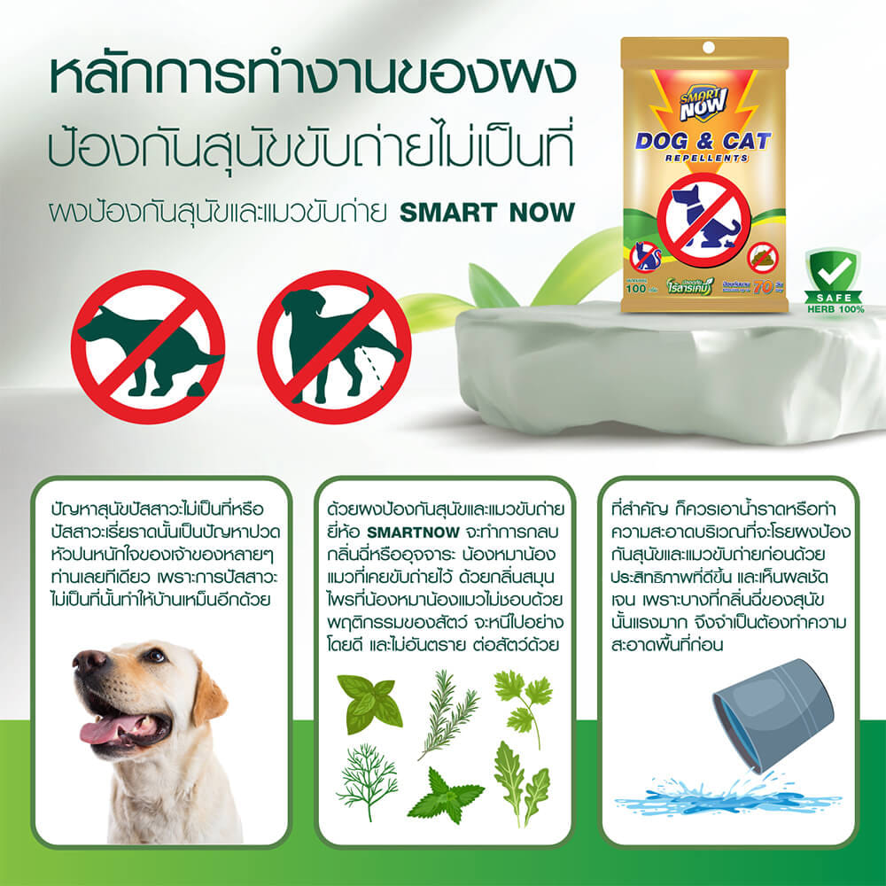 ผงสมุนไพรป้องกันสุนัขและแมวขับถ่าย SMARTNOW 100 กรัม_2