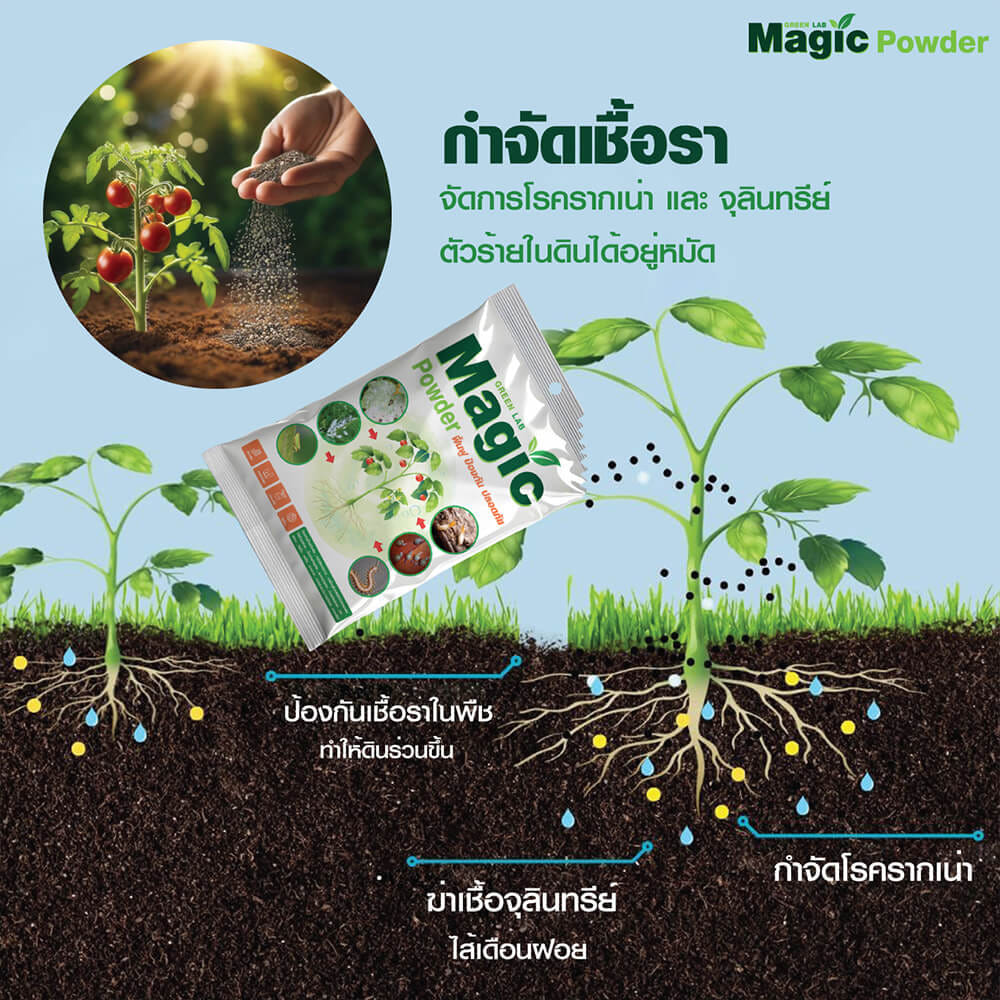 ผงอินทรีย์ป้องกันศัตรูพืช พร้อมบำรุงดิน GREEN LAB MAGIC POWDER ผลิตจากธรรมชาติ ขนาด 100 กรัม_1
