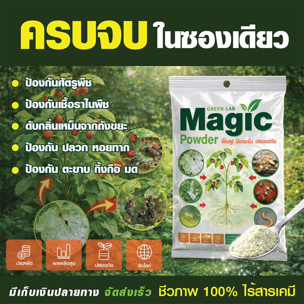 ผงอินทรีย์ป้องกันศัตรูพืช พร้อมบำรุงดิน GREEN LAB MAGIC POWDER ผลิตจากธรรมชาติ ขนาด 100 กรัม_4