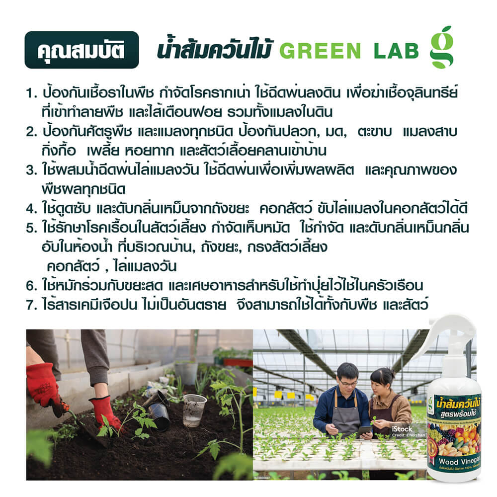 สเปรย์น้ำส้มควันไม้กำจัดแมลง GREEN LAB สูตรพร้อมใช้ น้ำส้มควันไม้แท้ 100% ขนาด 250 มล_3