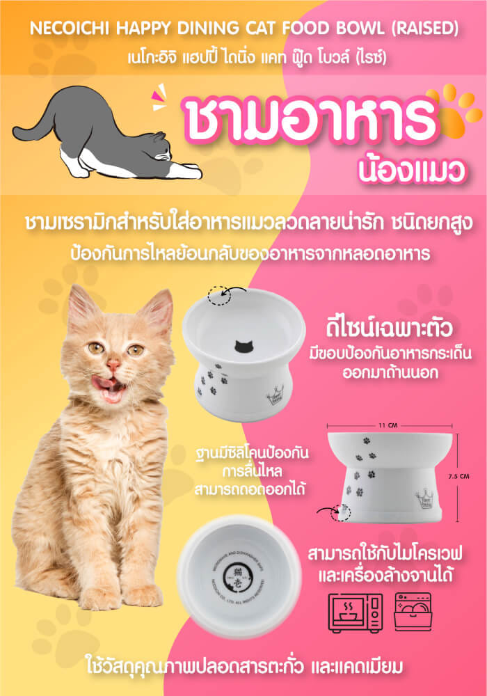 ชามเซรามิกใส่อาหารแมว (ชนิดยกสูง) NECOICHI สีขาว_4