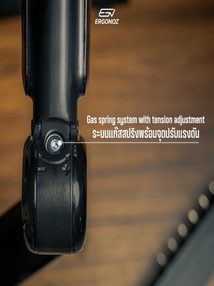 แขนจับจอ ERGONOZ รุ่น ASTRO แขนคู่ สำหรับหน้าจอ 13 - 35 นิ้ว สีดำ (EGN-ASTRO-D-B)_9