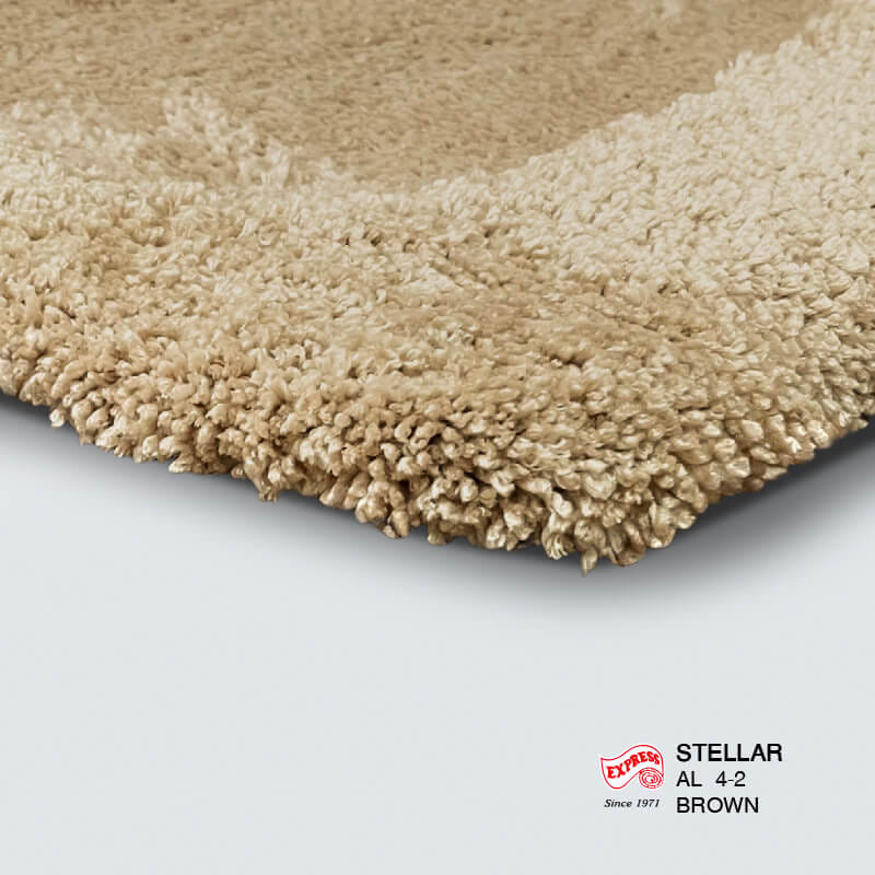 พรมเช็ดเท้ายาว EXPRESS CARPET รุ่น AL4-2 ขนาด50X120 ซม. หนา 20-30 มม. สีน้ำตาล _1