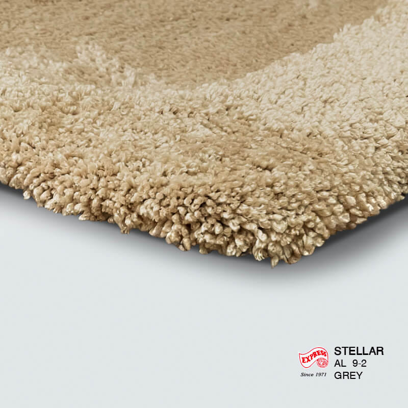 พรมเช็ดเท้าหน้าประตู EXPRESS CARPET รุ่น AM4-2 ขนาด45X70 ซม. หนา 20-30 มม. สีน้ำตาล _1