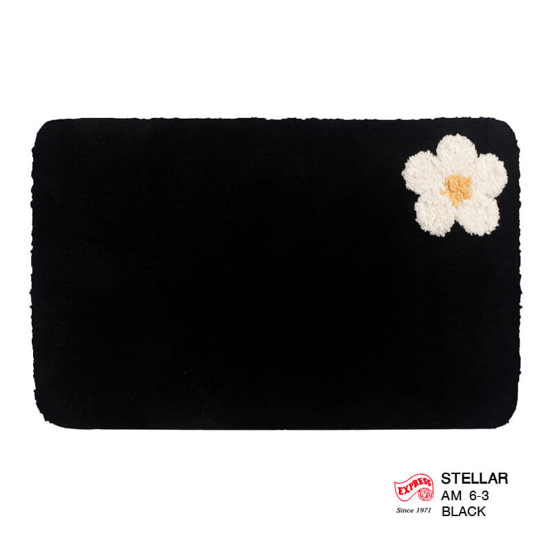 พรมเช็ดเท้าหน้าประตู EXPRESS CARPET รุ่น AM6-3 ขนาด45X70 ซม. หนา 20 มม. สีดำ _0
