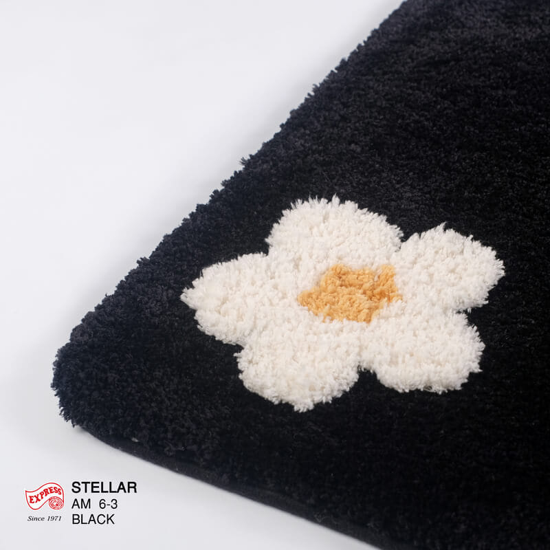 พรมเช็ดเท้าหน้าประตู EXPRESS CARPET รุ่น AM6-3 ขนาด45X70 ซม. หนา 20 มม. สีดำ _1
