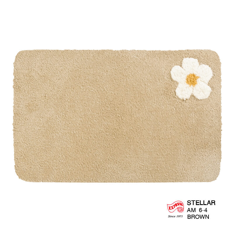 พรมเช็ดเท้าหน้าประตู EXPRESS CARPET รุ่น AM6-4 ขนาด45X70 ซม. หนา 20 มม. สีน้ำตาล _0