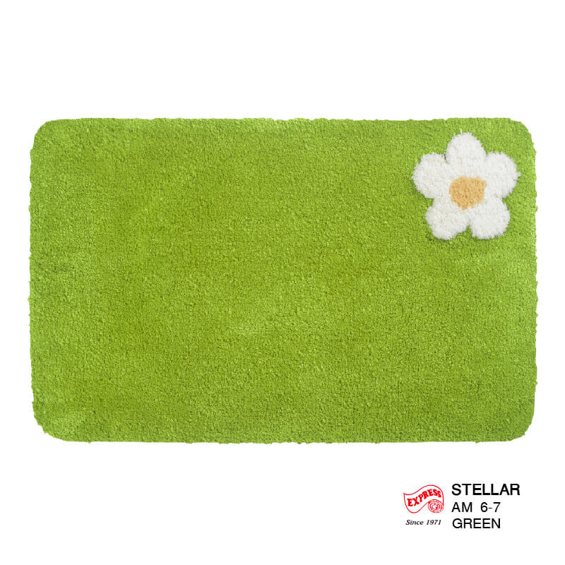 พรมเช็ดเท้าหน้าประตู EXPRESS CARPET รุ่น AM6-7 ขนาด45X70 ซม. หนา 20 มม. สีเขียว _0