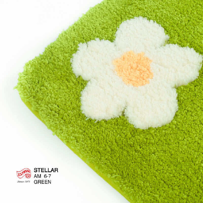 พรมเช็ดเท้าหน้าประตู EXPRESS CARPET รุ่น AM6-7 ขนาด45X70 ซม. หนา 20 มม. สีเขียว _1