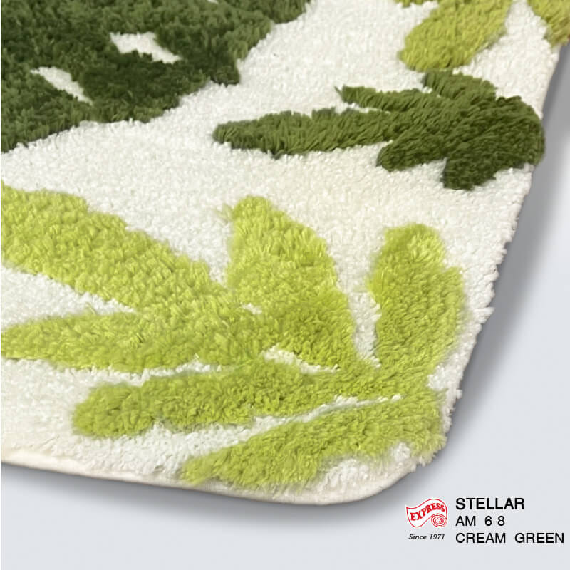 พรมเช็ดเท้าหน้าประตู EXPRESS CARPET รุ่น AM6-8 ขนาด45X70 ซม. หนา 18-23 มม. สีเขียว _1