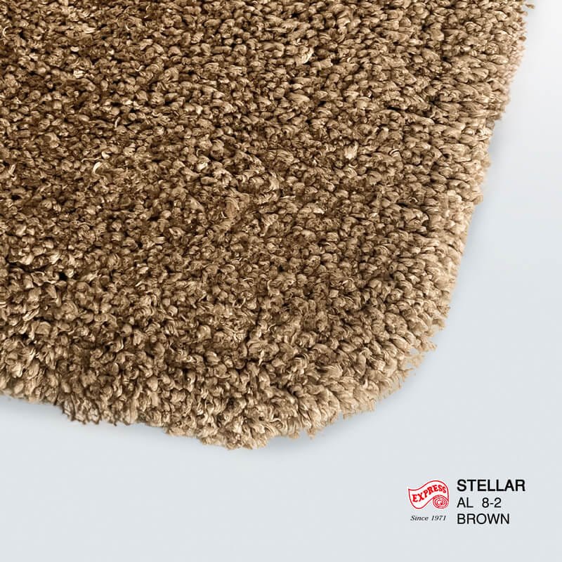 พรมเช็ดเท้ายาว EXPRESS CARPET รุ่น AL8-2 ขนาด50X120 ซม. หนา 20 มม. สีน้ำตาล _1